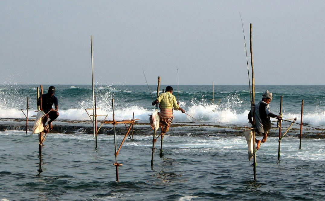 Dictionary of Ichthyology