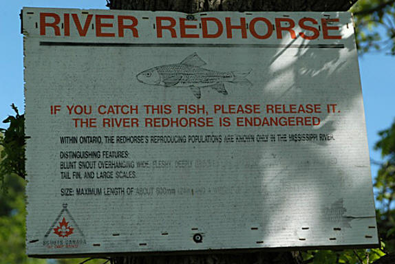 Faded sign on Mississippi River at Pakenham, above 5-arched stone bridge, 21 MAY 2004. Photo: Brian W. Coad.