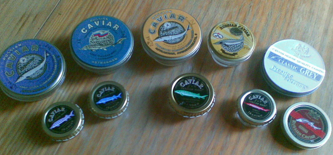 Russian and Iranian caviar tins, beluga, osetra and sevruga (Wikimedia Commons)