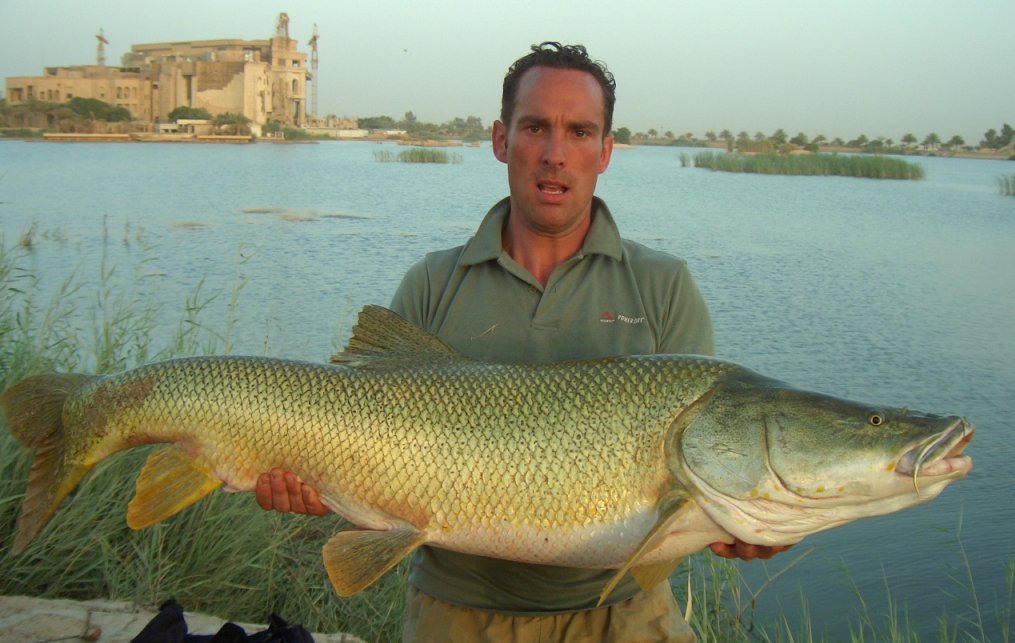 Barbus esocinus caught by Kevin Choules at Camp Slayer, Baghdad on floating bread bait, August 2005, released alive